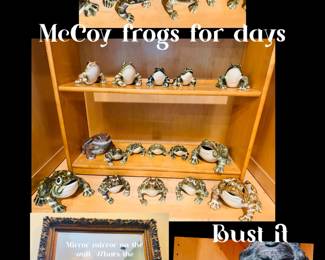 McCoy frogs
