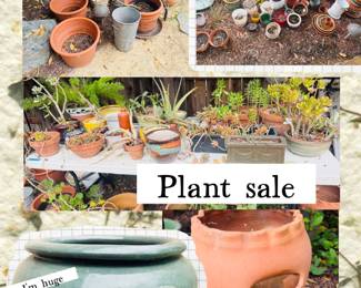 Plants and pots