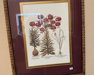 Pair of Botanical framed art