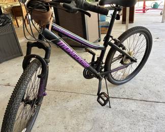 Ladies 24 inch 21 speed bicycle