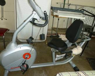 Schwinn
