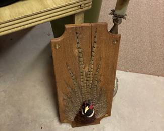 Pretty sure this is taxidermy