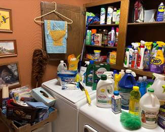 Cleaning supplies 