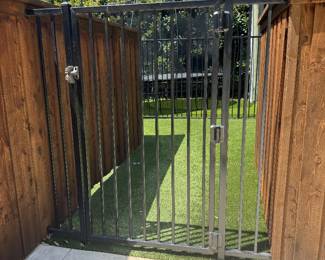Iron Fencing with gate