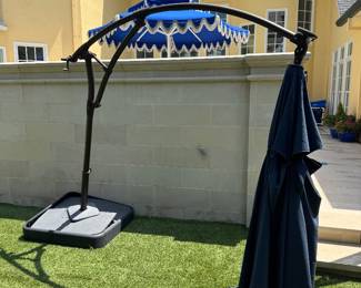 Umbrella $100