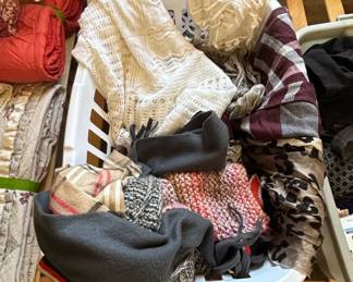 Assorted Scarves and Shawls