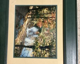 Chiu Tak Hak Framed Prints of Waterfall and Parisian Bookstore