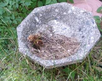 BIRD BATH