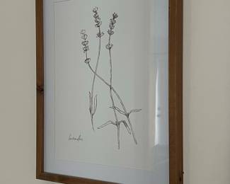 Lavender Line Art Style Framed Print