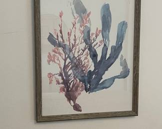 Trademark Fine Art 'Sweet Seaweed II' Watercolor Style Print