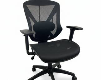 Ergonomic Mesh Office Chair Style