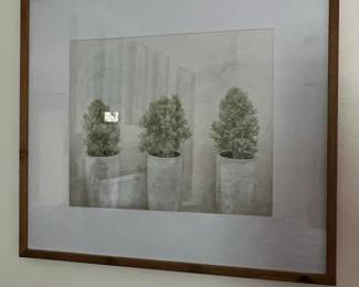 Set of 3 Potted Topiaries Style Wall Art