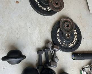Ferrigno International Weight Plates and Kettlebells