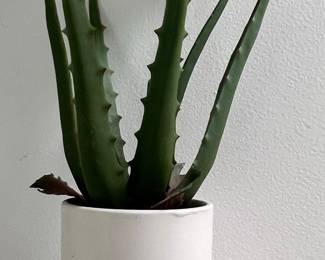 Artificial Aloe Vera Plant in White Ceramic Pot