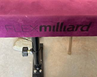 Adjustable Gymnastics Balance Beam - FLEX Milliard