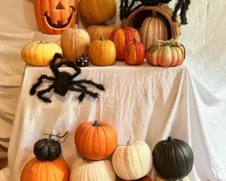 Pumpkin Patch
