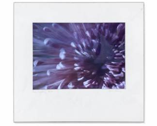 Lot 475: Glenna Evans "Pale Fluidity" Signed Print 3/150