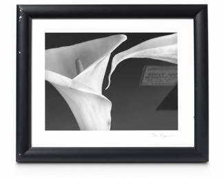 Lot 474: Tom Ferguson "Black and White Flowers" Framed Print