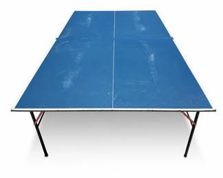Lot 317: Full-Size Folding Table Tennis Table