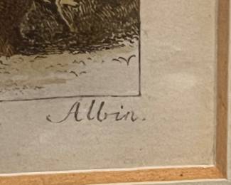 German Hand-Colored “Der Waldrabe” Northern Bald Ibis Bird Engraving
