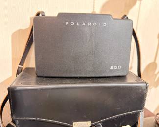 Vintage Polaroid 250 Land Camera with case