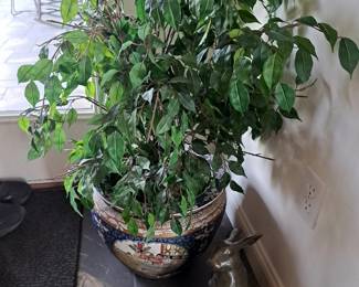 One of many plants and faux plants, all with decorative containers.