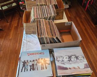 Vinyl/ Albums