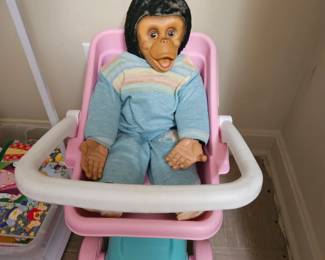Old Stuffed Monkey