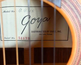 Goya acoustic guitar GG45