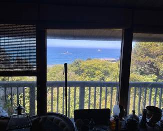 the view