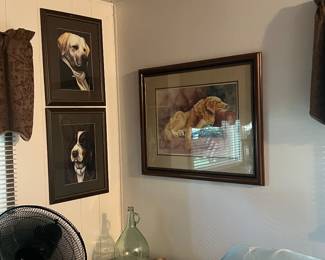 Dog Pictures