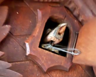 Black Forest Eagle Cuckoo Clock