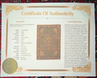 Bidjar Persian Hand-Knotted Wool Rug