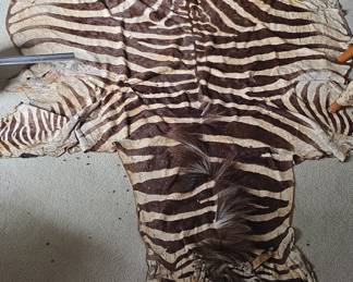 Zebra Hide Rug