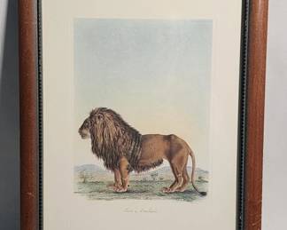 162 Lot 318h Vintage Lion de Barbarie etching