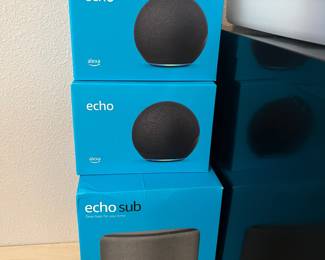 Echo Dot & Sub