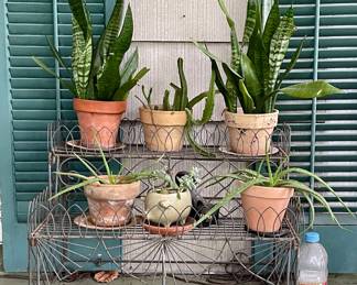 METAL PLANT STAND, PLANTS