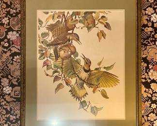 FRAMED BIRD PRINT….it’s a Northern Flicker! LOL