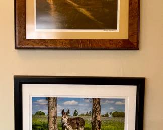 FRAMED PHOTOGRAPHY BY BECKEY ZAJICEK