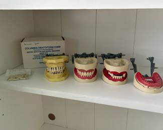 Vintage Dental Typodonts