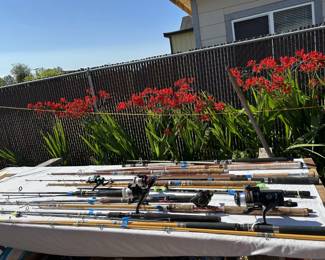 fishing polls