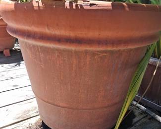 Large Terracotta Planter Pot