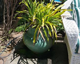 Large Glazed Ceramic Planter Pot