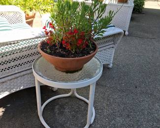 Terracotta Planter with Mixed Perennial Flowers