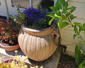 Terracotta Amphora Planter with Ring Handles - Anduze Style