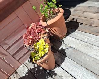 Terracotta Planters with Heuchera and Geraniums
