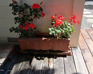Wooden Window Box Planter with Geraniums
