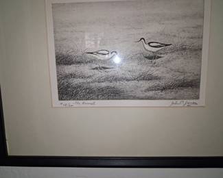 The Avocet Limited Edition Print by John S. James