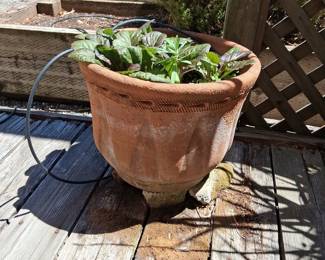 Terracotta Urn Planter with Decorative Band