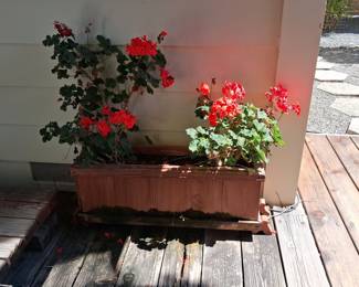 Wooden Window Box Planter with Geraniums